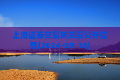 上海证券交易所交易公开信息(2024-09-18)