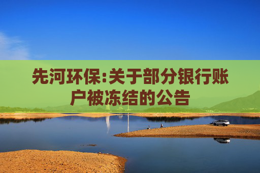 先河环保:关于部分银行账户被冻结的公告