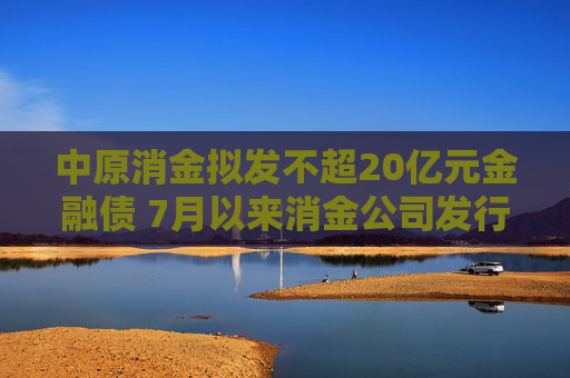 中原消金拟发不超20亿元金融债 7月以来消金公司发行金融债规模已逼近上半年