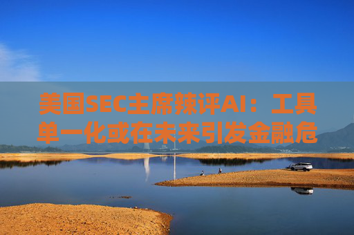 美国SEC主席辣评AI：工具单一化或在未来引发金融危机！