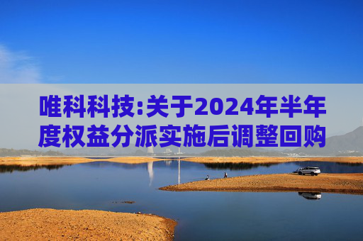 唯科科技:关于2024年半年度权益分派实施后调整回购价格上限的公告