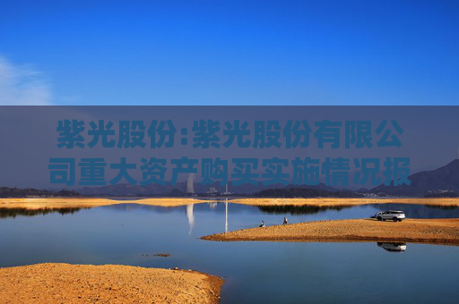 紫光股份:紫光股份有限公司重大资产购买实施情况报告书