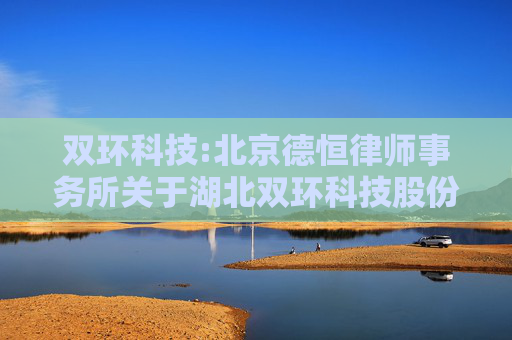 双环科技:北京德恒律师事务所关于湖北双环科技股份有限公司向特定对象发行A股股票的补充法律意见（一）