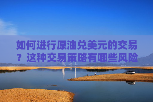 如何进行原油兑美元的交易？这种交易策略有哪些风险和收益？