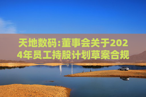 天地数码:董事会关于2024年员工持股计划草案合规性说明