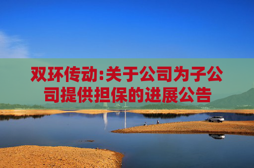 双环传动:关于公司为子公司提供担保的进展公告