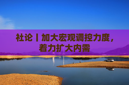 社论丨加大宏观调控力度，着力扩大内需