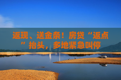 返现、送金条！房贷“返点”抬头，多地紧急叫停
