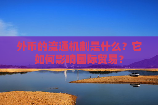 外币的流通机制是什么？它如何影响国际贸易？
