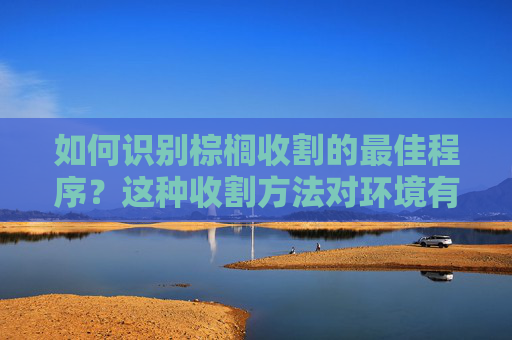 如何识别棕榈收割的最佳程序？这种收割方法对环境有何影响？