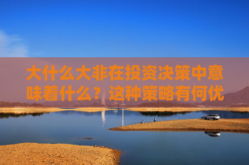 大什么大非在投资决策中意味着什么？这种策略有何优缺点？