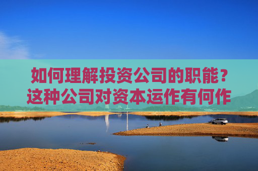 如何理解投资公司的职能？这种公司对资本运作有何作用？