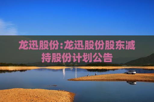 龙迅股份:龙迅股份股东减持股份计划公告