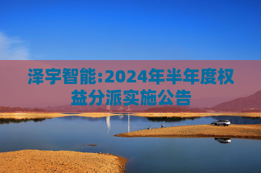 泽宇智能:2024年半年度权益分派实施公告
