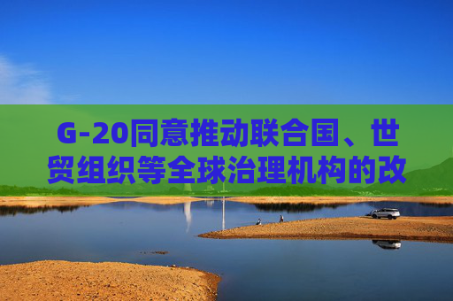 G-20同意推动联合国、世贸组织等全球治理机构的改革
