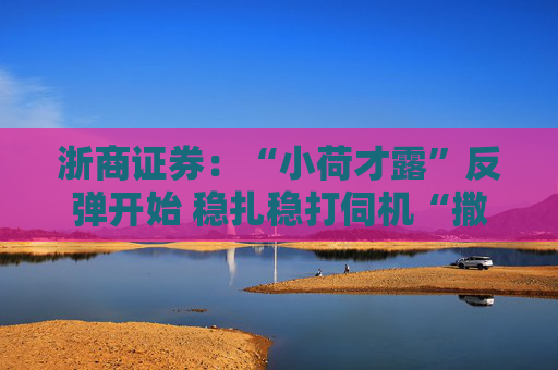 浙商证券：“小荷才露”反弹开始 稳扎稳打伺机“撒鹰”