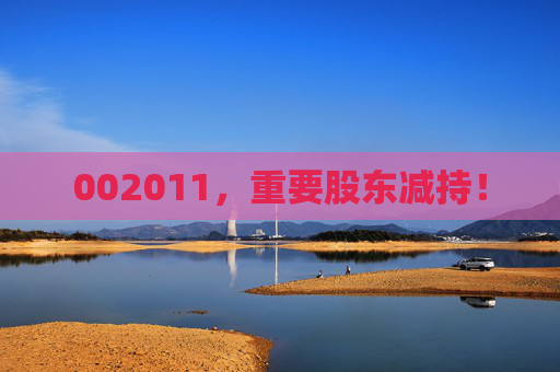 002011，重要股东减持！