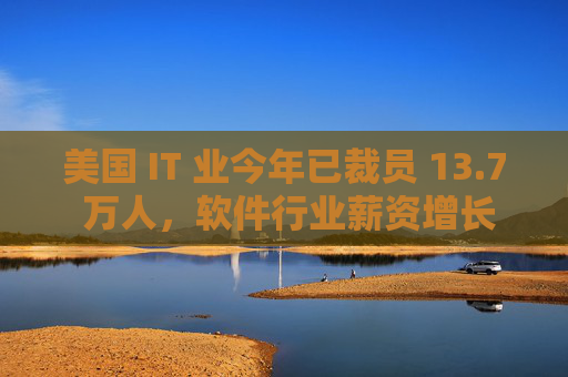 美国 IT 业今年已裁员 13.7 万人，软件行业薪资增长几近停滞
