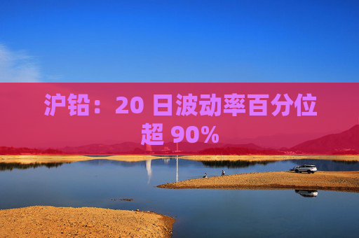 沪铅：20 日波动率百分位超 90%