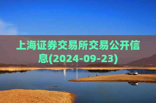 上海证券交易所交易公开信息(2024-09-23)