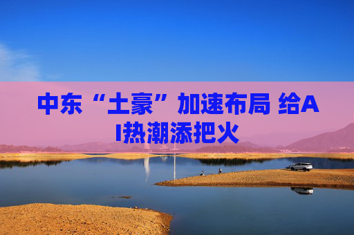 中东“土豪”加速布局 给AI热潮添把火