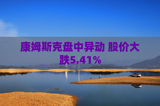 康姆斯克盘中异动 股价大跌5.41%