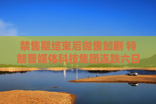 禁售期结束后抛售加剧 特朗普媒体科技集团连跌六日至2021年来新低
