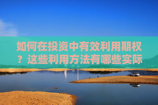 如何在投资中有效利用期权？这些利用方法有哪些实际应用？