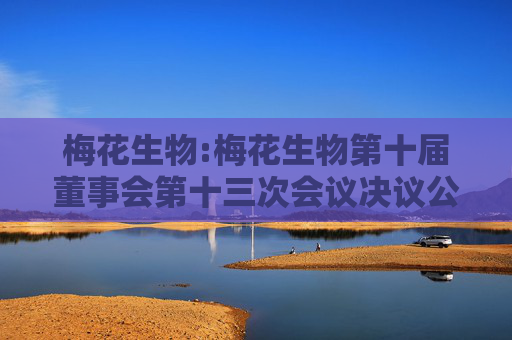 梅花生物:梅花生物第十届董事会第十三次会议决议公告