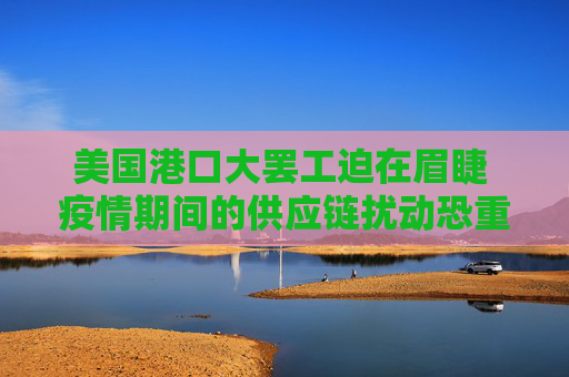 美国港口大罢工迫在眉睫 疫情期间的供应链扰动恐重现
