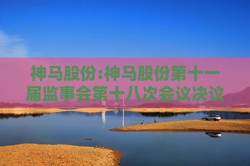 神马股份:神马股份第十一届监事会第十八次会议决议公告