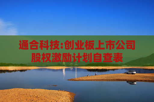 通合科技:创业板上市公司股权激励计划自查表