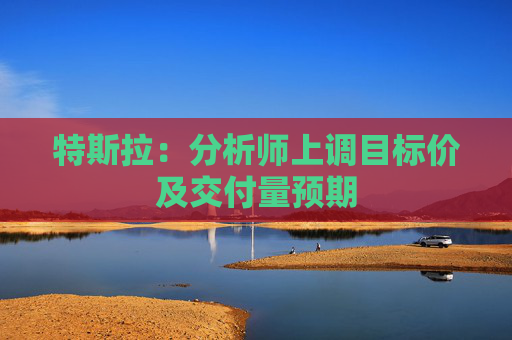 特斯拉：分析师上调目标价及交付量预期