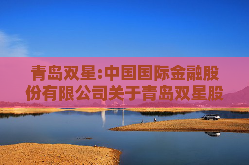 青岛双星:中国国际金融股份有限公司关于青岛双星股份有限公司本次交易符合《关于加强证券公司在投资银行类业务中聘请第三方等廉洁从业风险防控的意见》的相关规定之核查意见