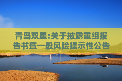 青岛双星:关于披露重组报告书暨一般风险提示性公告
