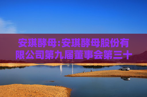 安琪酵母:安琪酵母股份有限公司第九届董事会第三十五次会议决议公告