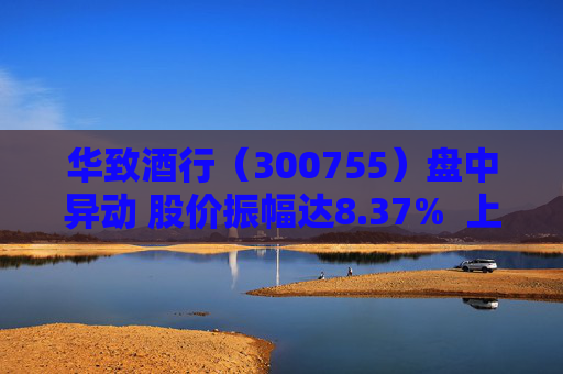 华致酒行（300755）盘中异动 股价振幅达8.37%  上涨5.69%（09-26）