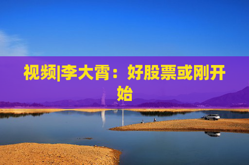 视频|李大霄：好股票或刚开始