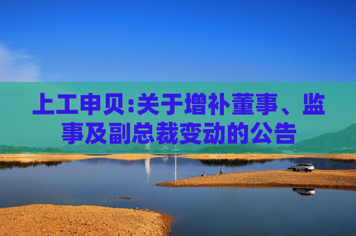 上工申贝:关于增补董事、监事及副总裁变动的公告