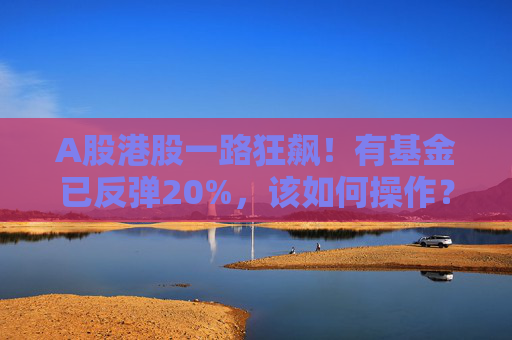 A股港股一路狂飙！有基金已反弹20%，该如何操作？