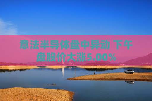 意法半导体盘中异动 下午盘股价大涨5.00%