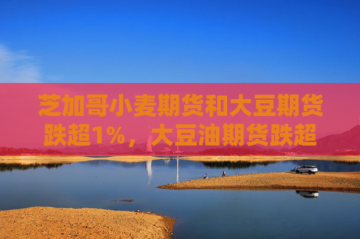 芝加哥小麦期货和大豆期货跌超1%，大豆油期货跌超3%