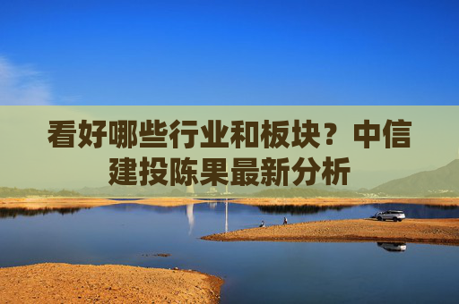 看好哪些行业和板块？中信建投陈果最新分析