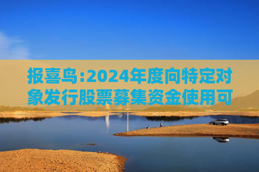 报喜鸟:2024年度向特定对象发行股票募集资金使用可行性分析报告