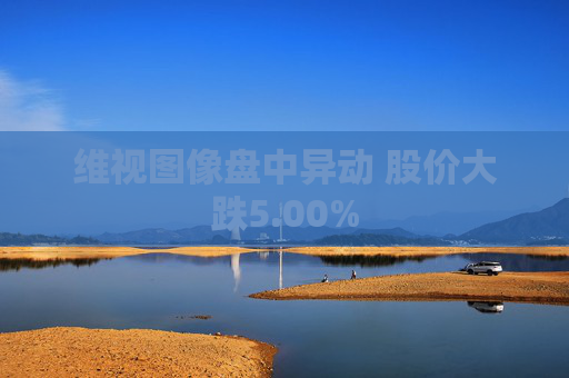 维视图像盘中异动 股价大跌5.00%