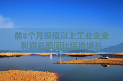 前8个月规模以上工业企业利润总额同比保持增长