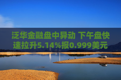 泛华金融盘中异动 下午盘快速拉升5.14%报0.999美元