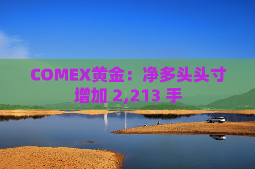 COMEX黄金：净多头头寸增加 2,213 手