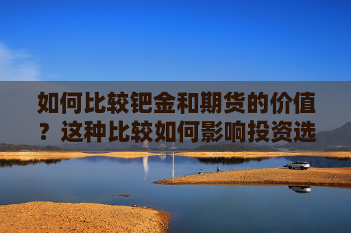 如何比较钯金和期货的价值？这种比较如何影响投资选择？