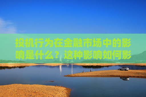投机行为在金融市场中的影响是什么？这种影响如何影响市场稳定性？
